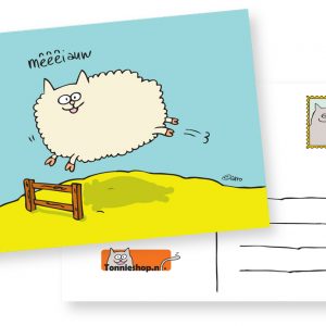 Sheepy Tonnie